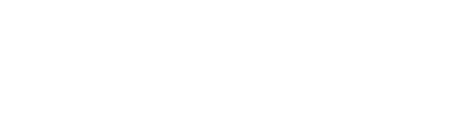 Mindwizz One line logo all white